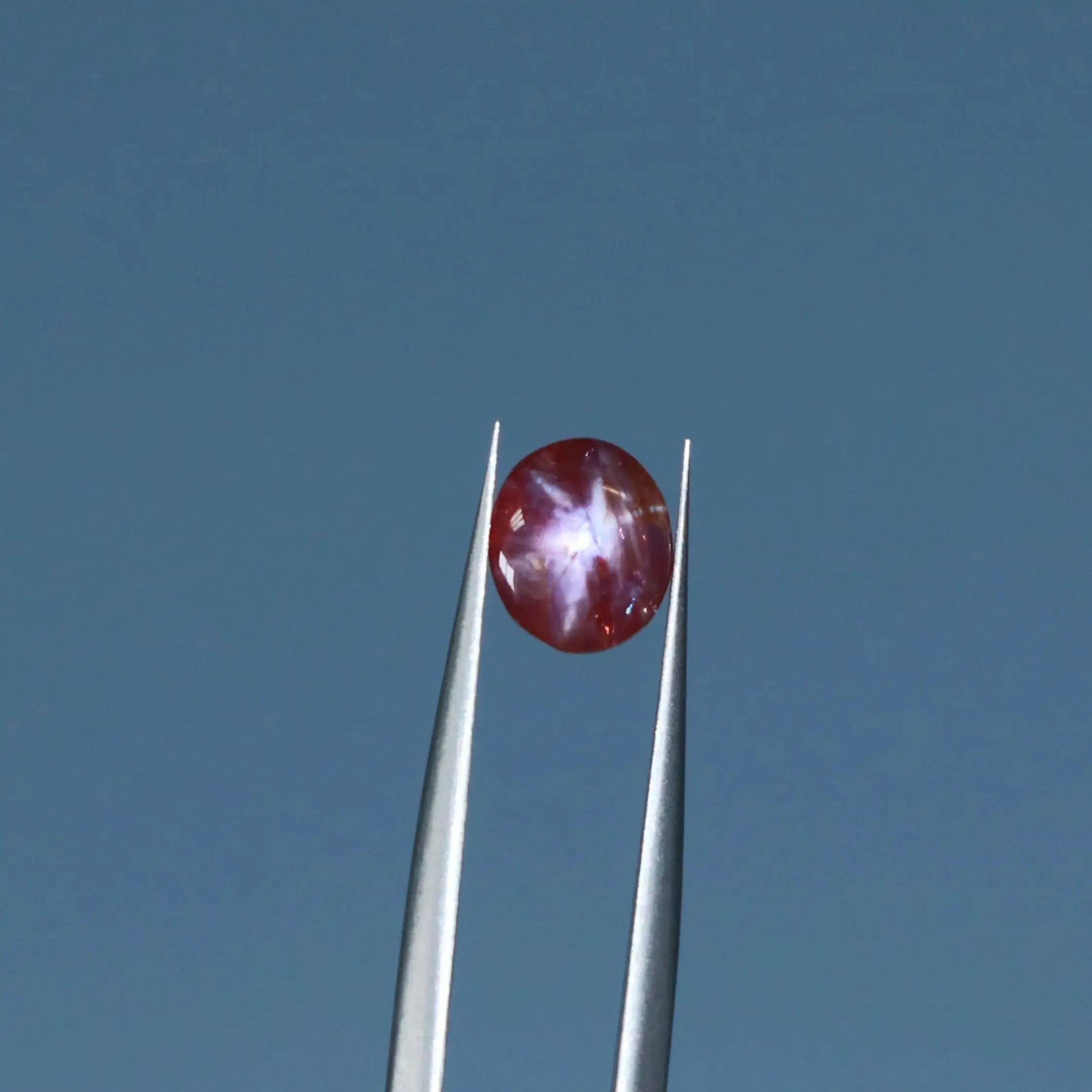 Rubis étoilé sri lanka 1.48ct MaelGems